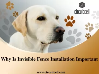 Why Is Invisible Fence Installation Important