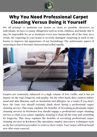 Why You Need Professional Carpet Cleaning Versus Doing it Yourself