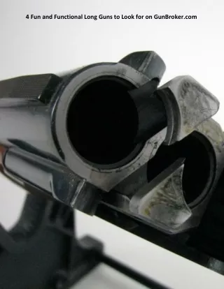 4 fun and functional long guns to look