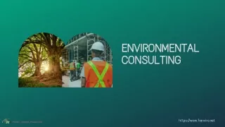 Services of the best Florida environmental consulting firm