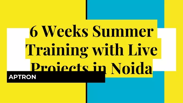 6 weeks summer training with live projects in noida