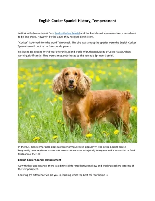 english cocker spaniel history temperament