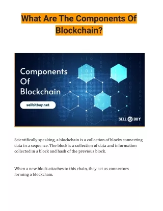 What Are The Components Of Blockchain?