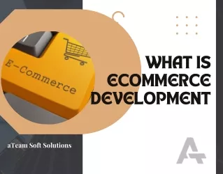 What Is Ecommerce Development