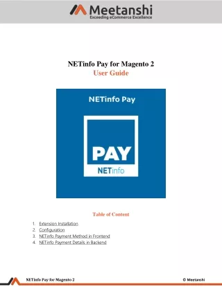 netinfo pay for magento 2 user guide