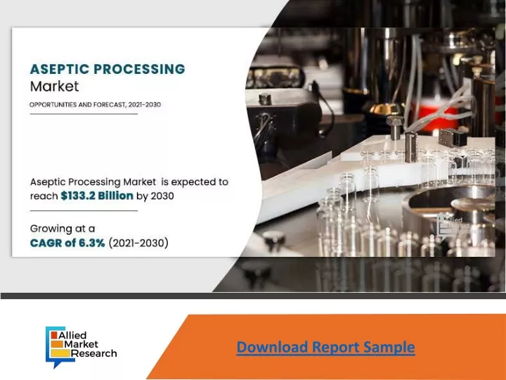 download report sample