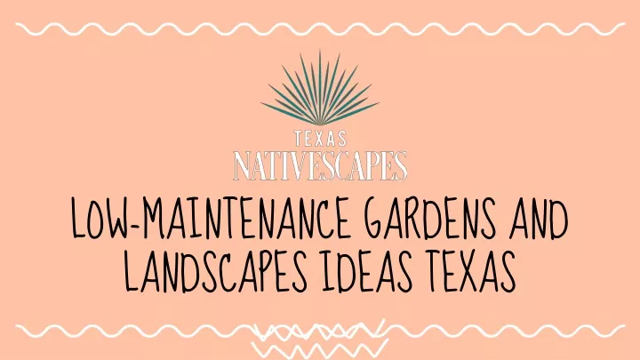 low maintenance gardens and landscapes ideas texas