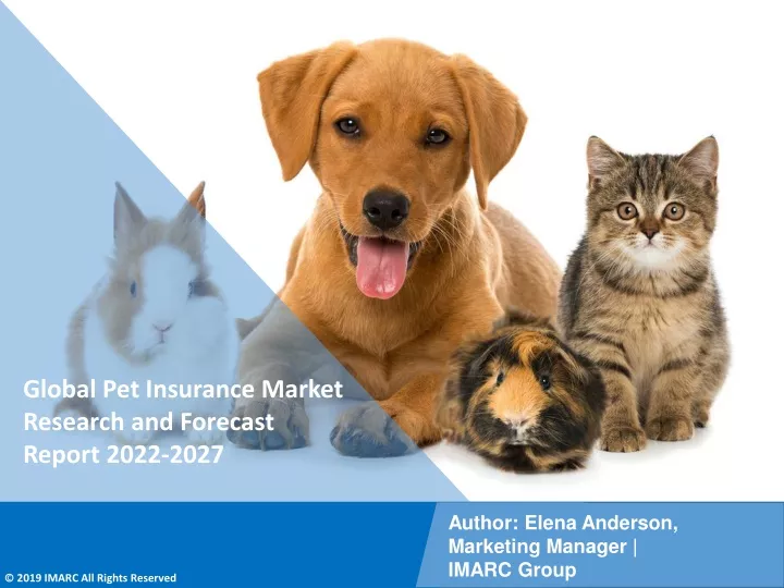 global pet insurance market research and forecast