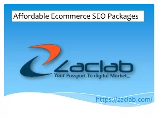 Affordable Ecommerce SEO Packages