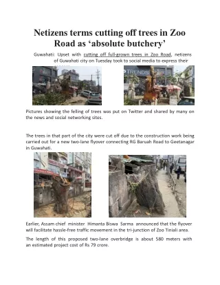 Netizens terms cutting off trees in Zoo Road as ‘absolute butchery