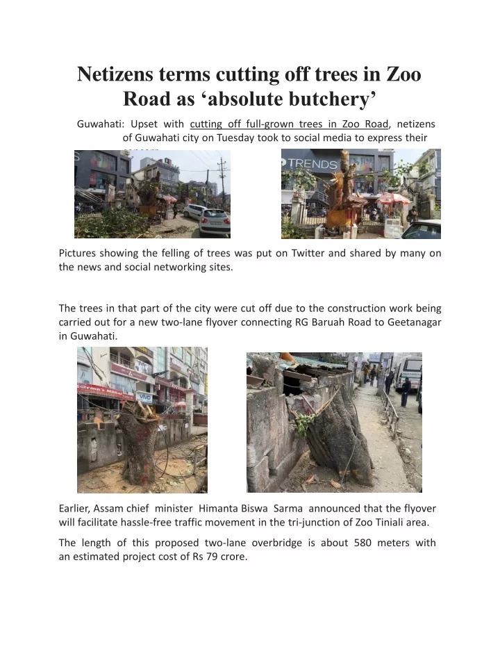 netizens terms cutting off trees in zoo road