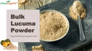 Best Lucuma Powder Suppliers | Bulk Lucuma Powder Supplier