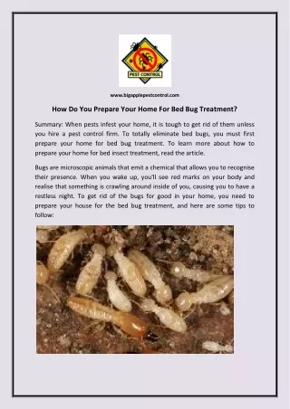 How Do You Prepare Your Home For Bed Bug Treatment