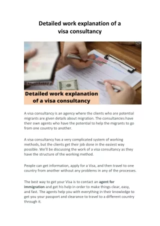 Detailed work explanation of a visa consultancy