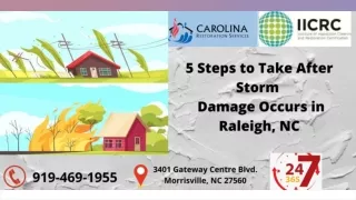 5 Steps to Take After Storm Damage Occurs in Raleigh, NC