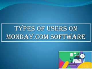 types of users on monday com software