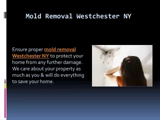 Mold Removal Westchester NY