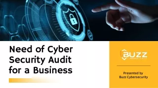 Need of Security Audit for a Business