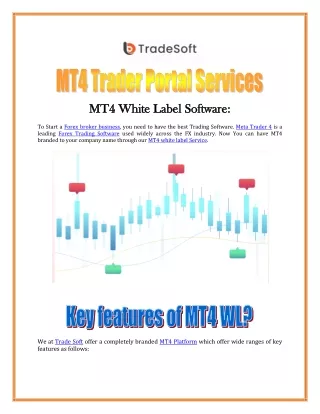 MT4 Trader Portal Services