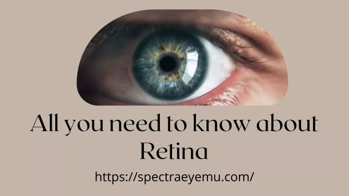 all you need to know about retina https