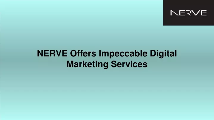 nerve offers impeccable digital marketing services
