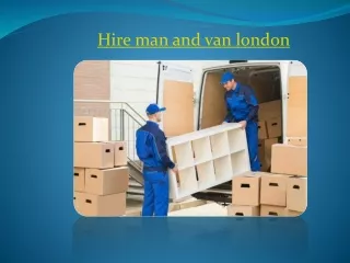 expert man and van