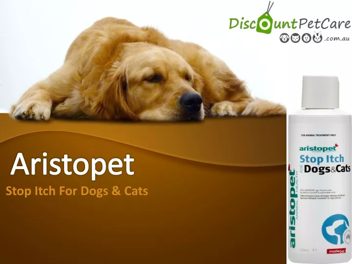stop itch for dogs cats