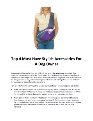 Top 4 Must Have Stylish Accessories For A Dog Owner