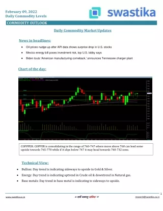 february 09 2022 daily commodity levels