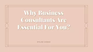 Why Business Consultants Are Essential For You