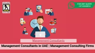 Management Consultants 291
