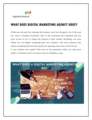 WHAT DOES DIGITAL MARKETING AGENCY DOES