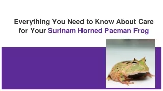 Everything You Need to Know About Care for Your Surinam Horned Pacman Frog
