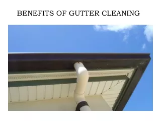 House Roof Gutter Cleaning Geelong