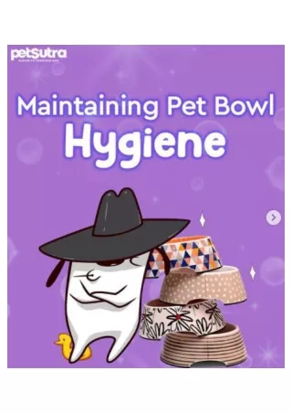 Maintaining Pet Bowl Hygiene - PetSutra