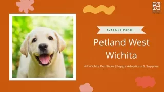 Wichita Pet Store