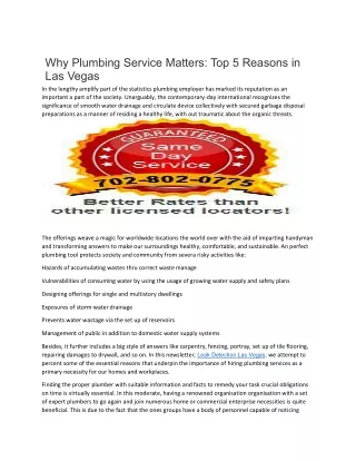 Why Plumbing Service Matters-Top 5 Reasons in Las Vegas