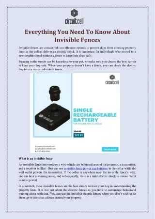 Everything You Need To Know About Invisible Fences-converted