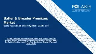 Batter & Breader Premixes Market