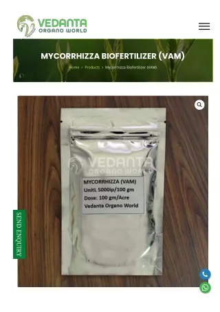 Supplier of Mycorrhiza Bio Fertilizer Powder in India