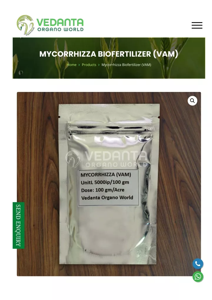 mycorrhizza biofertilizer vam
