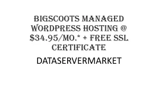 Bigscoots Managed WordPress Hosting
