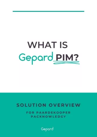 WHAT IS GEPARD PIM SOFTWARE