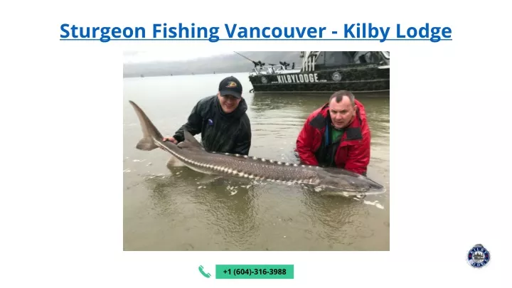 sturgeon fishing vancouver kilby lodge