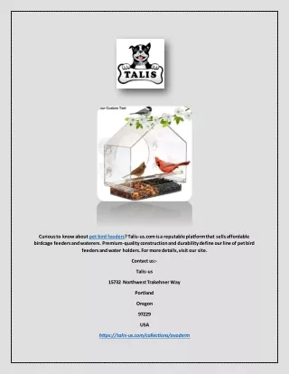 curious to know about pet bird feeders talis