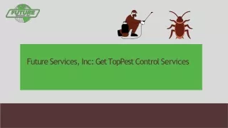 Hire Experts For Pest Prevention Service At Future Services, Inc.