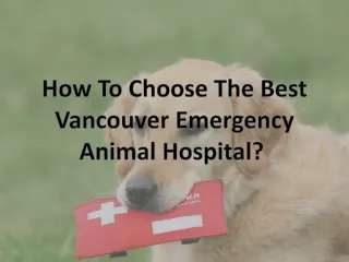 How To Choose The Best Vancouver Emergency Animal Hospital