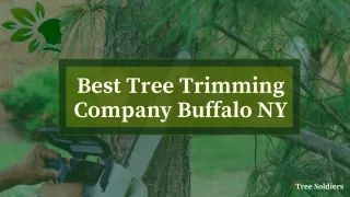 Best Tree Trimming Company Buffalo NY