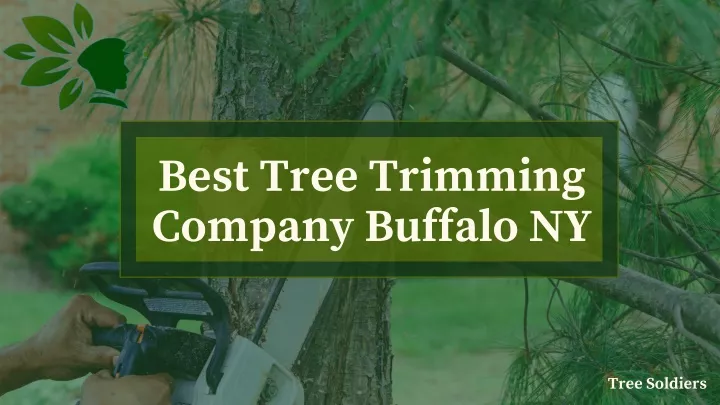 best tree trimming company buffalo ny