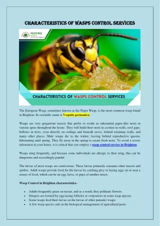 Characteristics Of Wasps Control Services